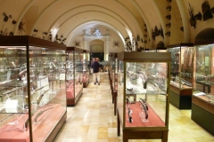 7-Jun-Palace-Armoury-1